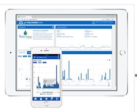 Water Meter Portal Photo